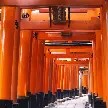 千本鳥居