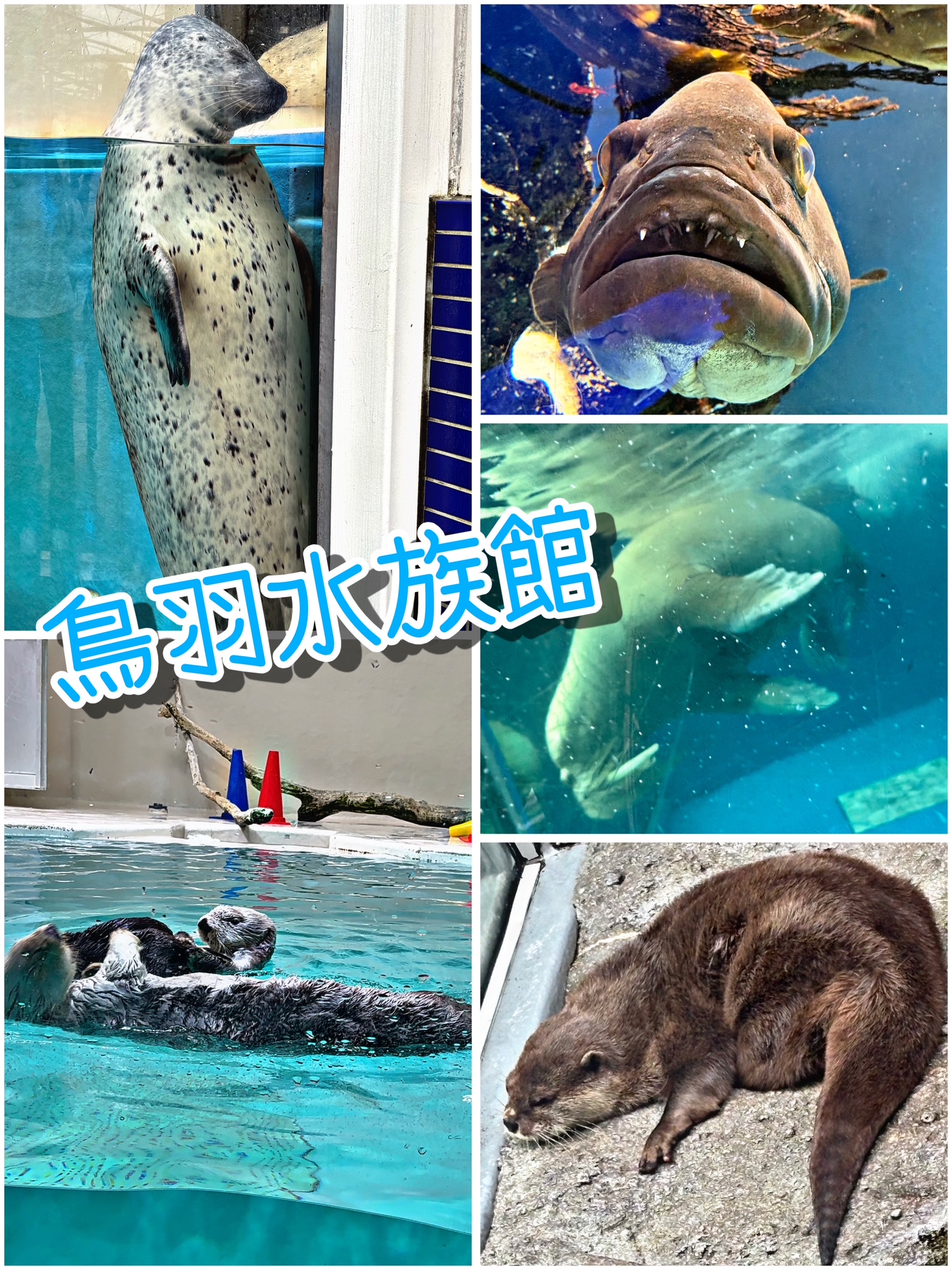 お久しぶりです。。。