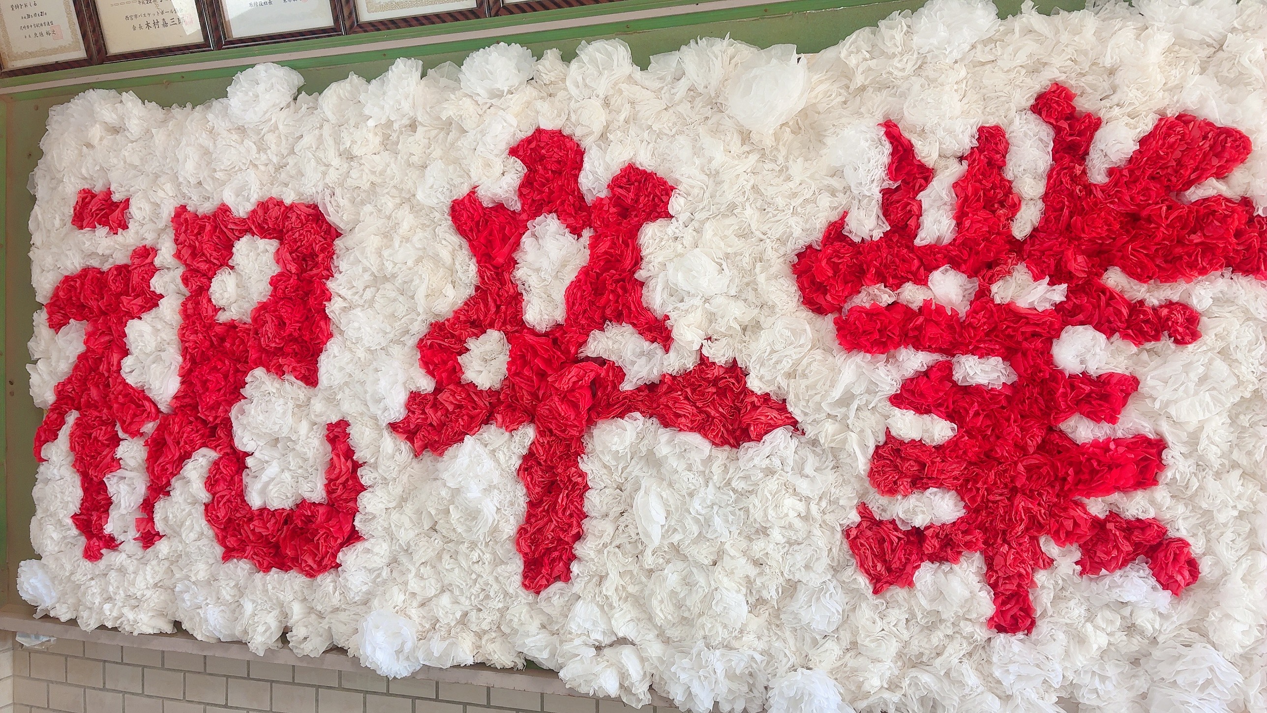 じゃにーっき#204