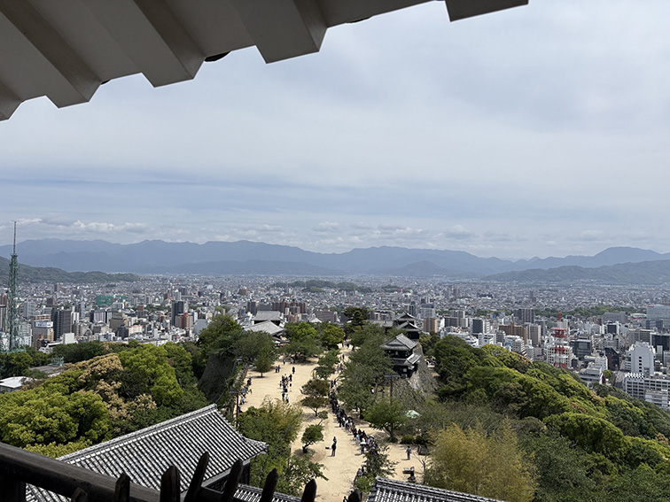 みかんは貰うモノ。。。